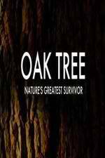 Watch Oak Tree Natures Greatest Survivor Putlocker