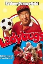 Watch Ladybugs Putlocker