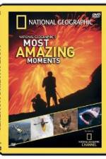 Watch National Geographic's Most Amazing Moments Putlocker