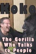 Watch Koko: The Gorilla Who Talks to People Putlocker