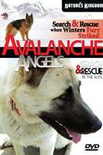 Watch Avalanche Angels Putlocker