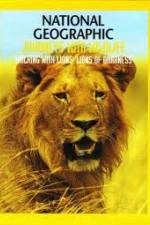Watch National Geographic:  Walking with Lions Putlocker