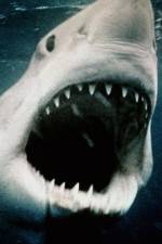 Watch Sharkmania: The Top 15 Biggest Baddest Bloodiest Bites Putlocker