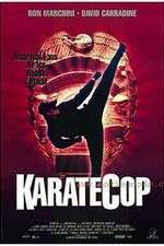 Watch Karate Cop Putlocker