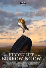 Watch The Hidden Life of the Burrowing Owl (Short 2008) Putlocker