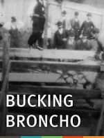 Watch Bucking Broncho Putlocker