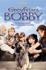 Watch Greyfriars Bobby The True Story of a Dog Putlocker