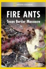 Watch National Geographic Fire Ants: Texas Border Massacre Putlocker