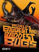 Watch World\'s Biggest and Baddest Bugs Putlocker