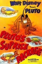 Watch Pluto\'s Surprise Package Putlocker