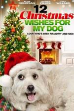 Watch 12 Christmas Wishes For My Dog Putlocker