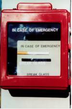 Watch In Case of Emergency Putlocker