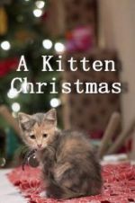 Watch A Kitten Christmas Putlocker