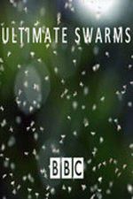 Watch Ultimate Swarms Putlocker