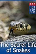 Watch The Secret Life of Snakes Putlocker