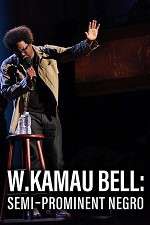 Watch W. Kamau Bell: Semi-Promenint Negro Putlocker