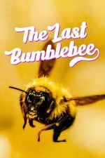 Watch The Last Bumblebee Putlocker
