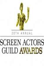 Watch The 20th Annual Screen Actors Guild Awards Putlocker