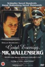 Watch Good Evening, Mr. Wallenberg Putlocker