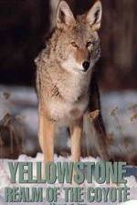 Watch Yellowstone: Realm of the Coyote Putlocker
