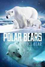 Watch Polar Bears Ice Bear Putlocker