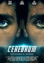 Watch Cerebrum Putlocker