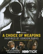 Watch A Choice of Weapons: Inspired by Gordon Parks Putlocker
