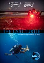 Watch The Last Turtle (Short 2019) Putlocker