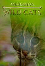 Watch Thailand's Wild Cats Putlocker