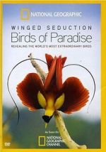 Watch Winged Seduction: Birds of Paradise Putlocker