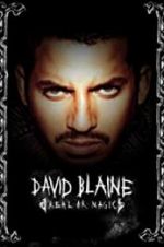 Watch David Blaine: Real or Magic Putlocker