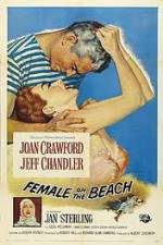 Watch Female on the Beach Putlocker
