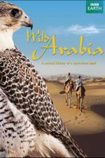Watch Wild Arabia Putlocker