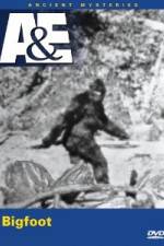 Watch A&E Ancient Mysteries - Bigfoot Putlocker