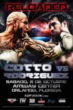 Watch Miguel Cotto vs Delvin Rodriguez Putlocker