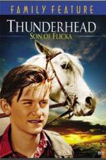 Watch Thunderhead - Son of Flicka Putlocker