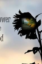 Watch The Sunflower and the Sun God Putlocker