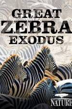 Watch Nature: Great Zebra Exodus Putlocker