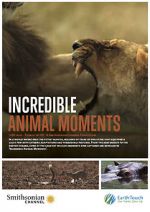 Watch Incredible Animal Moments Putlocker