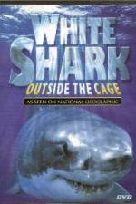 Watch National Geographic white shark:outside the cage Putlocker