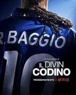 Watch Baggio: The Divine Ponytail Online Putlocker