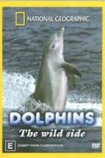 Watch Dolphins: The Wild Side Putlocker