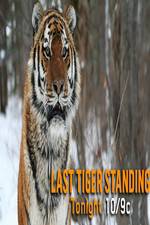 Watch Discovery Channel-Last Tiger Standing Putlocker