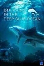 Watch Dolphins in the Deep Blue Ocean Putlocker