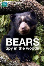 Watch Bears: Spy in the Woods Putlocker
