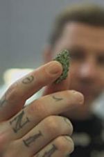 Watch Professor Green: Is It Time to Legalise Weed? Putlocker