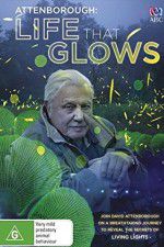 Watch Attenborough\'s Life That Glows Putlocker