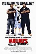 Watch Malibu's Most Wanted Putlocker