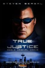 Watch True Justice: Brotherhood Putlocker
