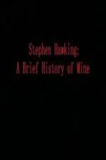 Watch Stephen Hawking A Brief History of Mine Putlocker